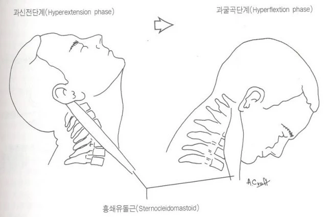 %BB%E7%C1%F8_001_%281%29.jpg?type=w2