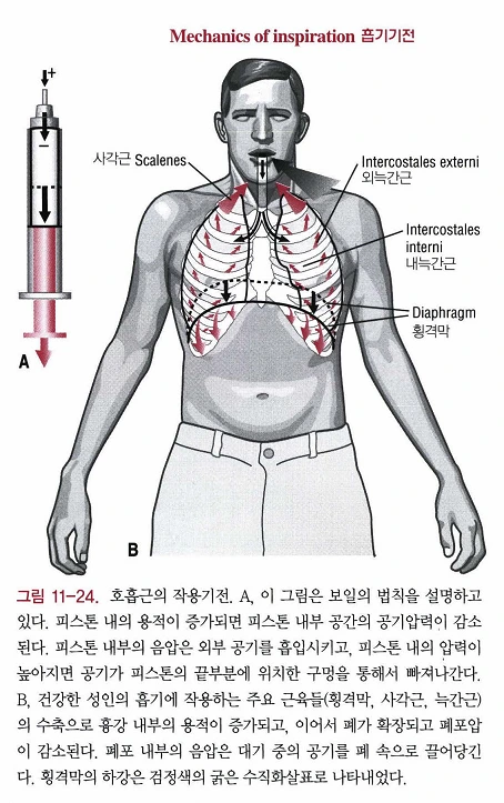 %C8%ED%B1%E2_%B1%E2%C0%FC_1.png?type=w620