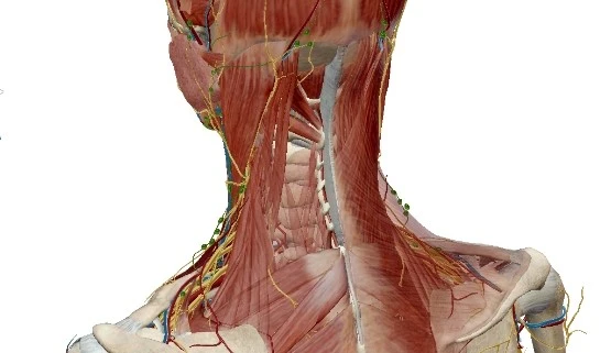 Screen_Shot_9-14-2015_11.04.42_AM.png?type=w2