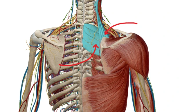 Screen_Shot_11-25-2015_7.53.55_PM.png?type=w2