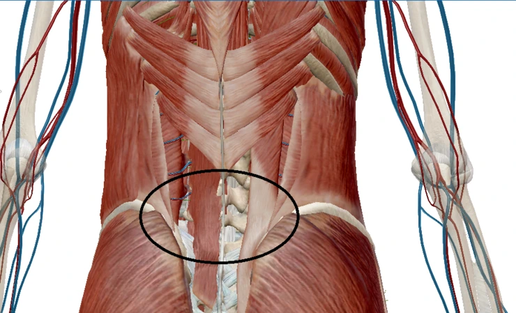 Screen_Shot_11-24-2015_9.36.51_AM.png?type=w2