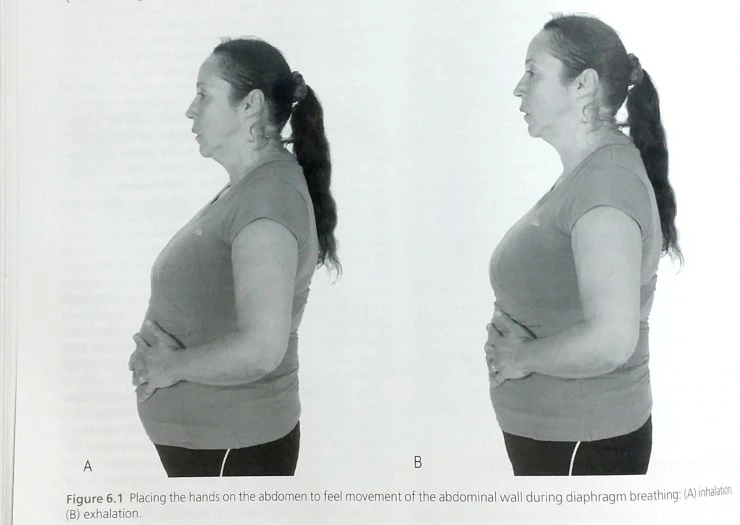 %BB%F5_%C6%C4%C0%CF_22_1.jpg?type=w2