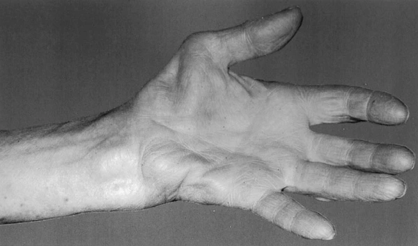 loadMedia.jpg?type=w2