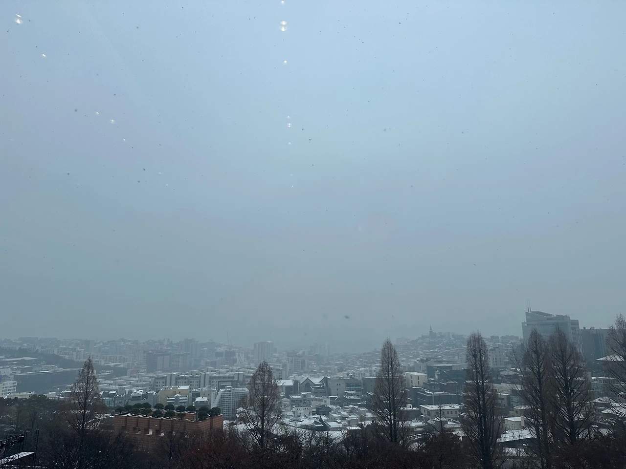 KakaoTalk_Photo_2024-01-09-12-15-21 003.jpeg