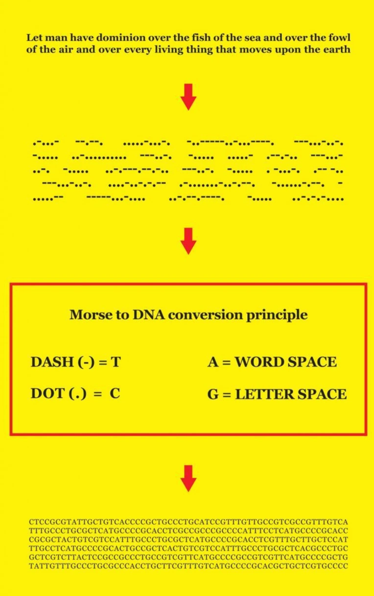 296-kacgenesisdiagram201716x24cm.jpg?itok=zVoQi1ZN