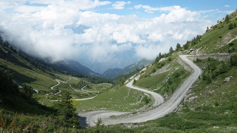 DSC07800.png?type=w773