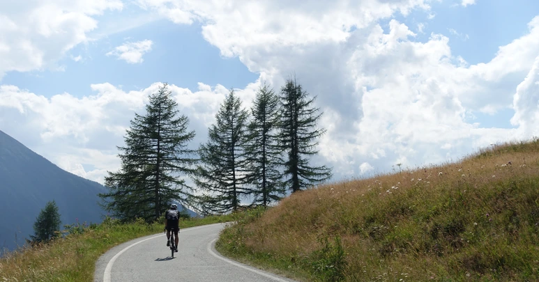 DSC07765.png?type=w773