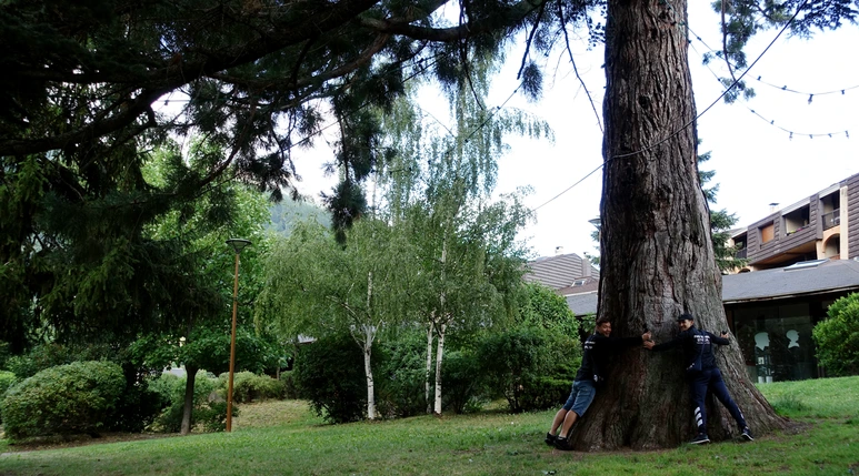 DSC07173.png?type=w773