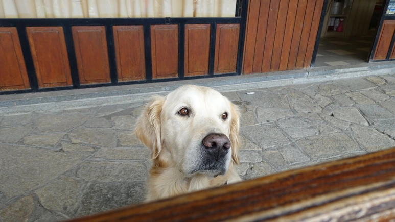 DSC07744.png?type=w773