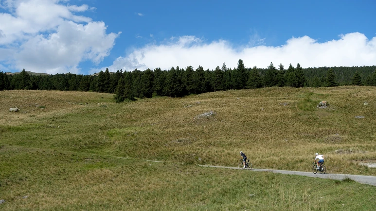 DSC07484.png?type=w773