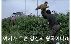 강간의 왕국.jpeg