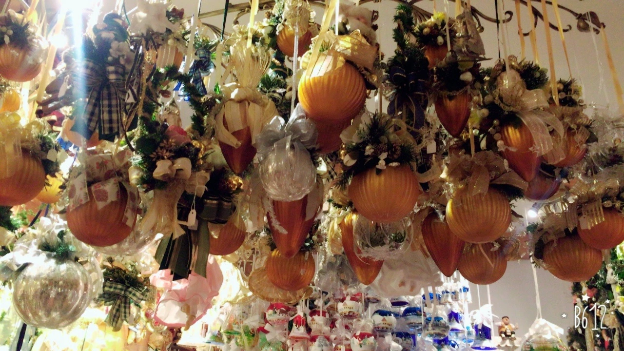 짤즈부르크 (14).JPG