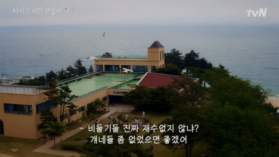 %EC%82%AC%EC%9D%B4%EC%BD%94%EC%A7%80%EB%A7%8C_%EA%B4%9C%EC%B0%AE%EC%95%84.E03.200627.1080p-NEXT.mp4_20201002_222402.498.jpg?type=w1