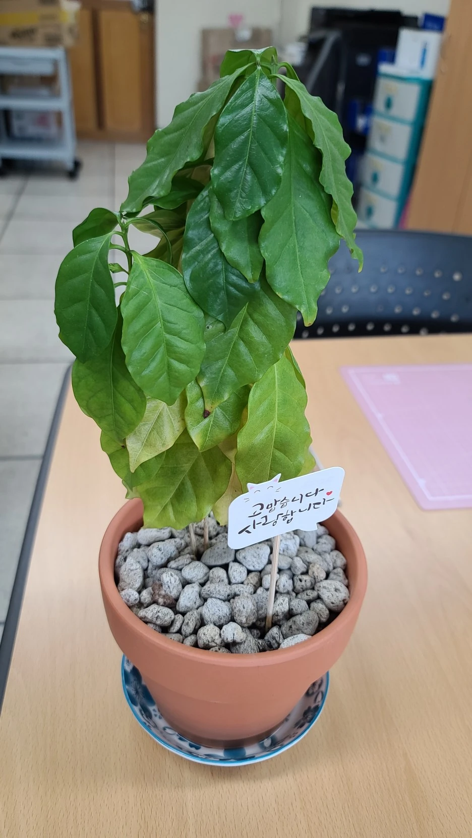 KakaoTalk_20221031_083526019_01.jpg?type=w1