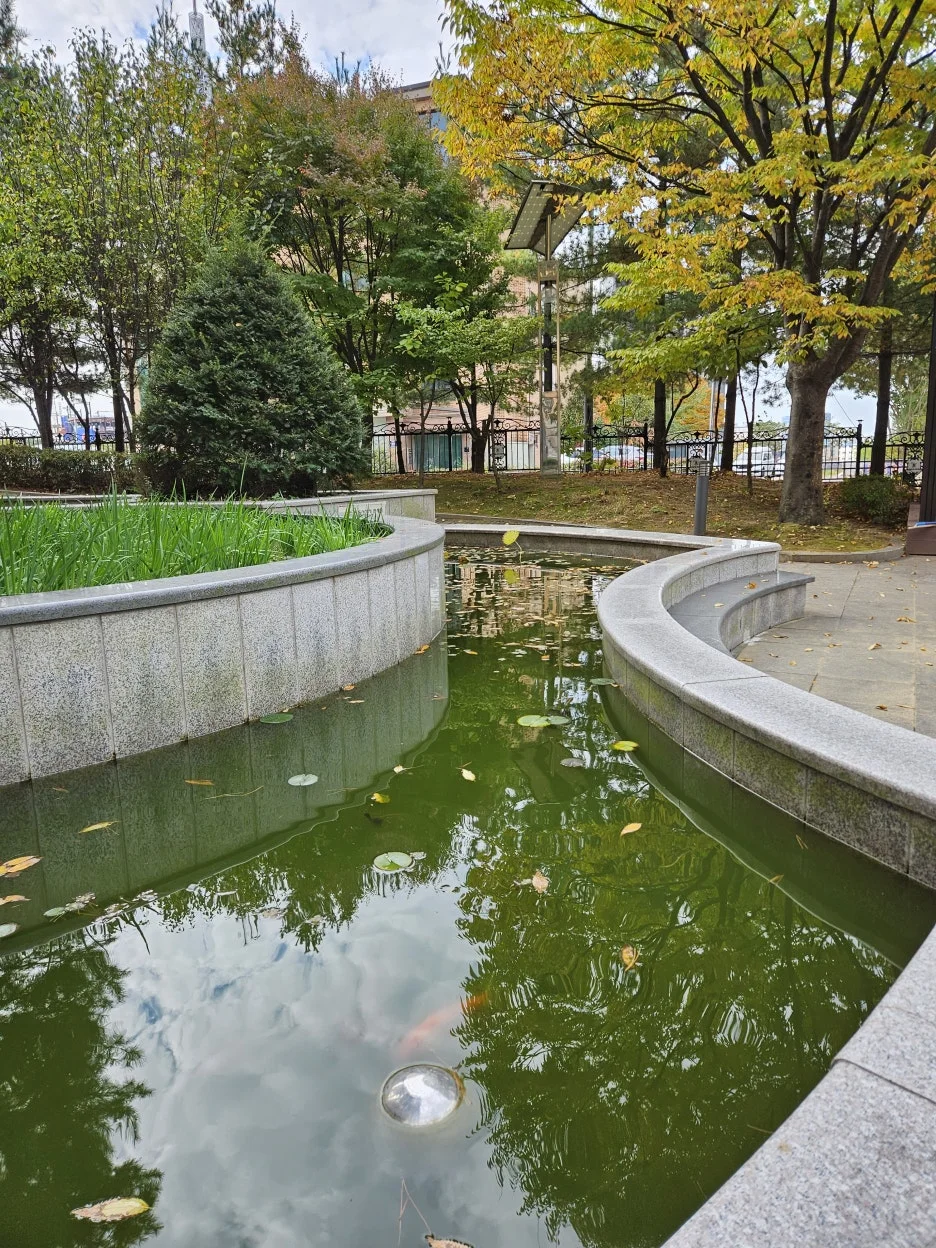 KakaoTalk_20241203_114819852.jpg?type=w1