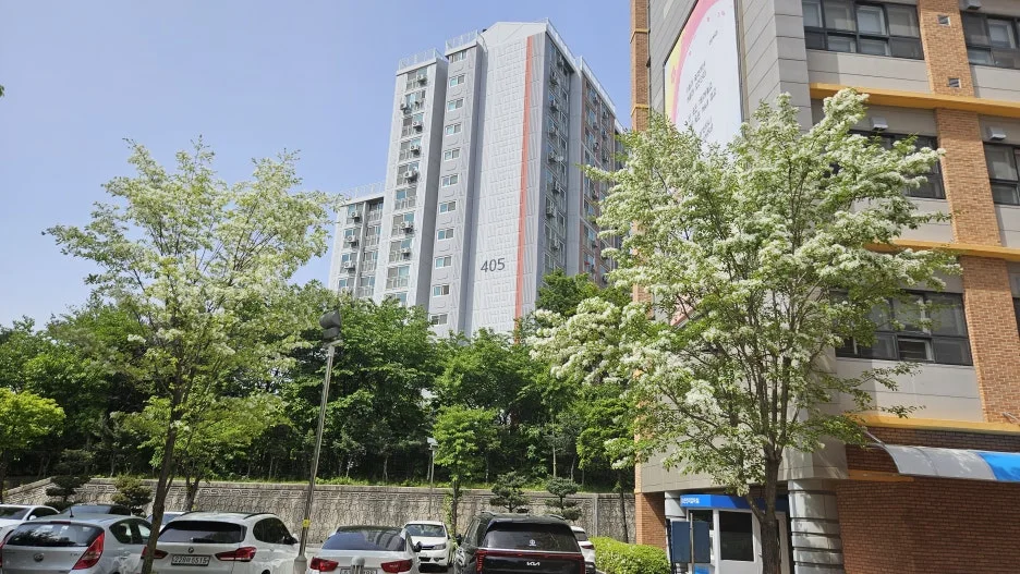 KakaoTalk_20250509_112008724.jpg?type=w1