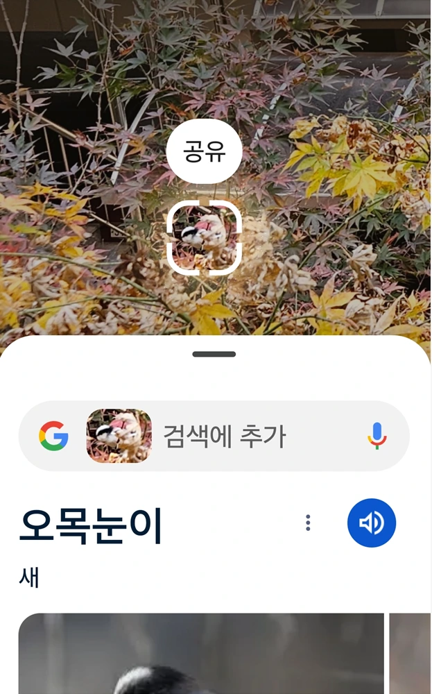 KakaoTalk_20241121_145216152.png?type=w1