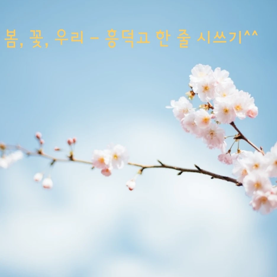 KakaoTalk_20220411_103522068.jpg?type=w1