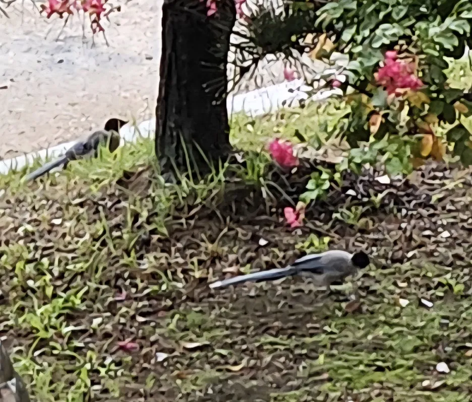 KakaoTalk_20250917_084243035_01.jpg?type=w1