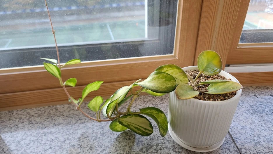 KakaoTalk_20221031_083526019.jpg?type=w1