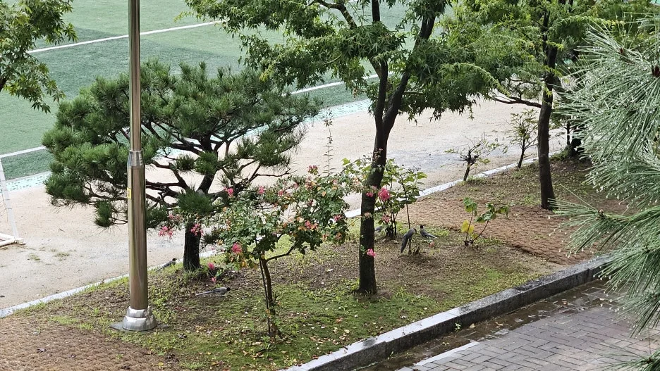 KakaoTalk_20250917_084243035.jpg?type=w1