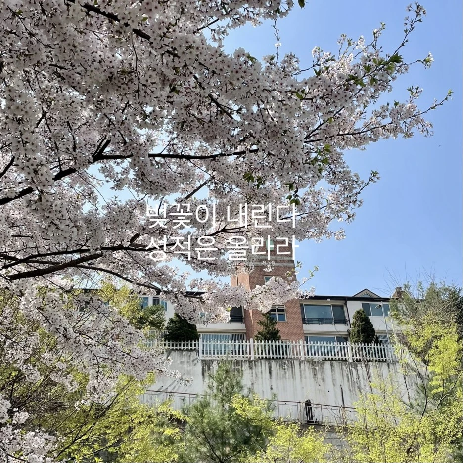 KakaoTalk_20220411_112428819.jpg?type=w1