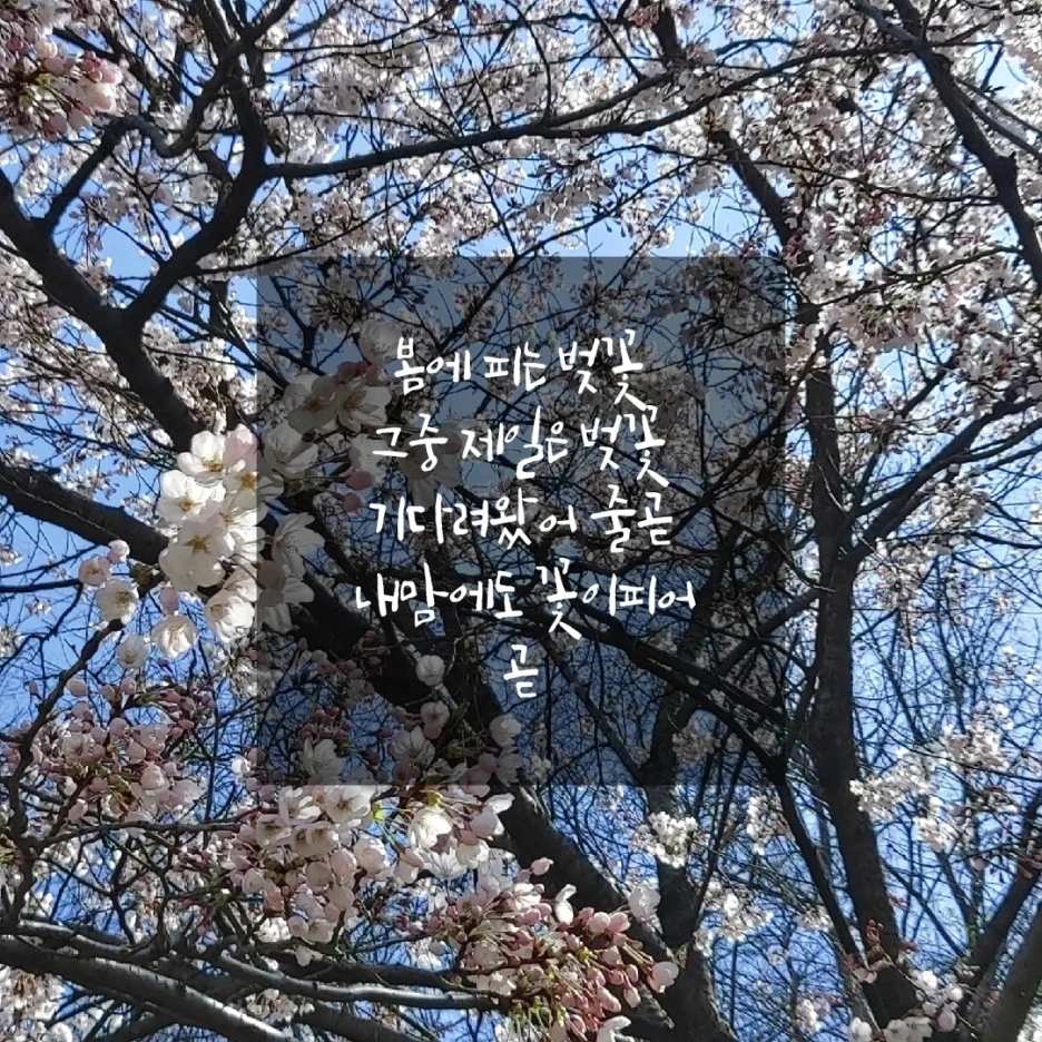 KakaoTalk_20220408_113638422.jpg?type=w1