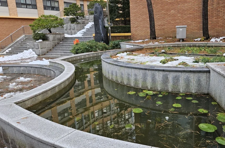 %EC%BA%A1%EC%B2%981222.JPG?type=w1