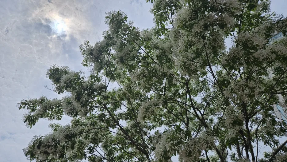 KakaoTalk_20250511_132405532.jpg?type=w1