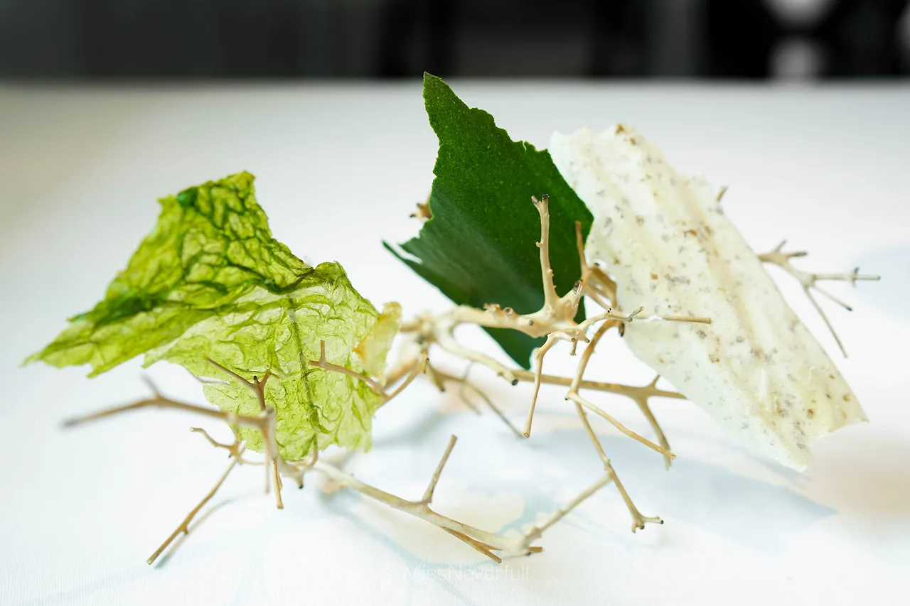 DSC08120.jpg?format=2500w