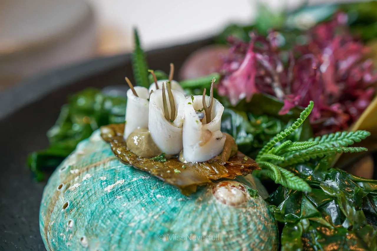 DSC08136.jpg?format=2500w