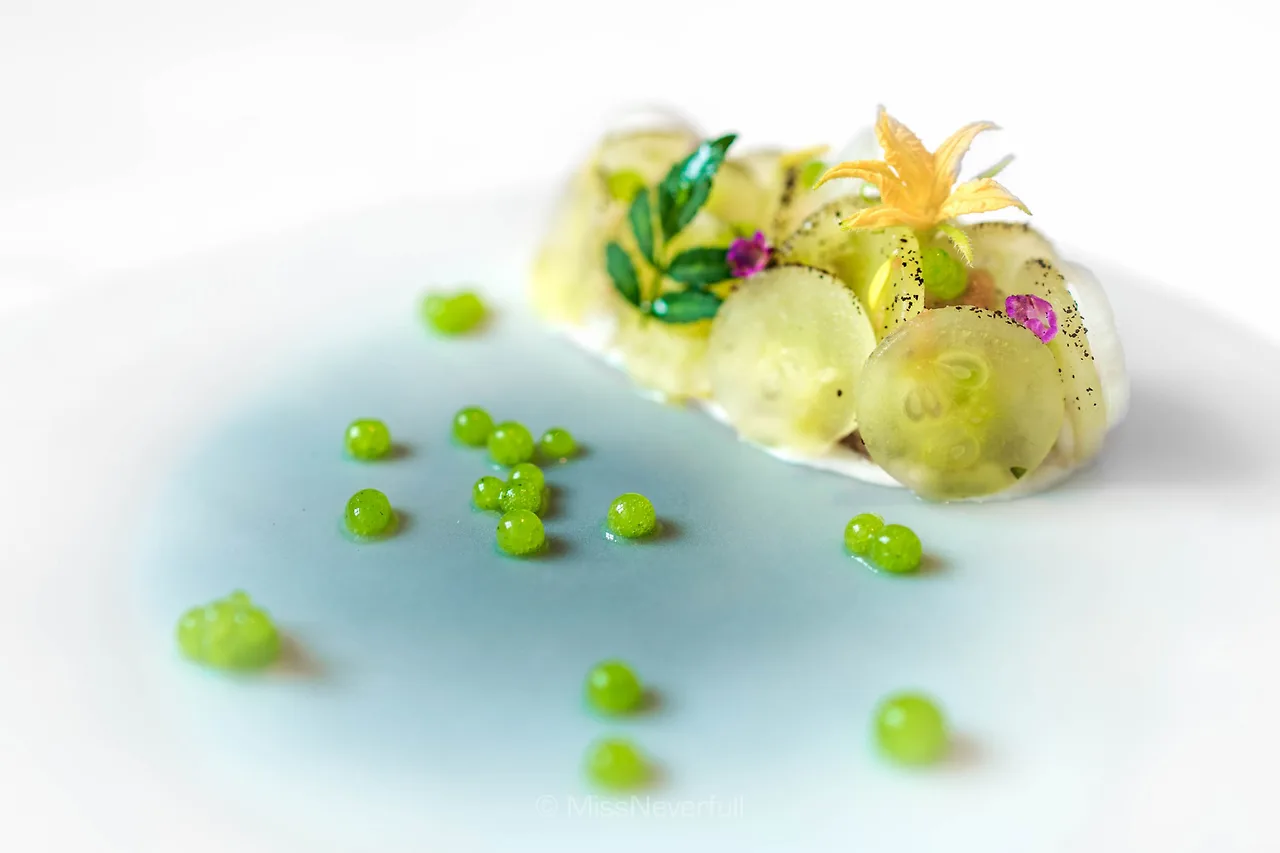 DSC08166.jpg?format=2500w