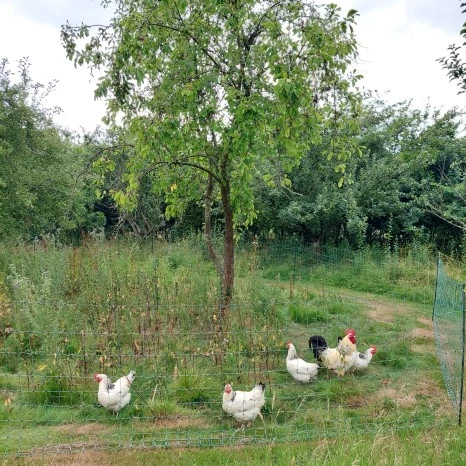 20230721_220715.jpg?type=w466