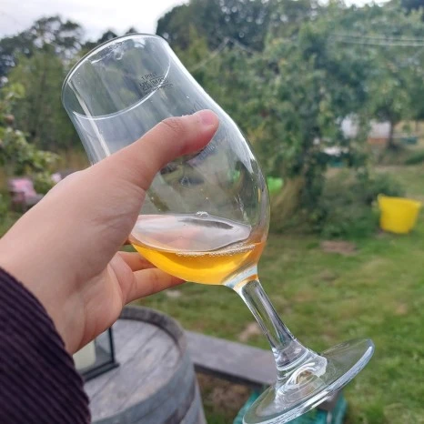 20230721_231708.jpg?type=w466