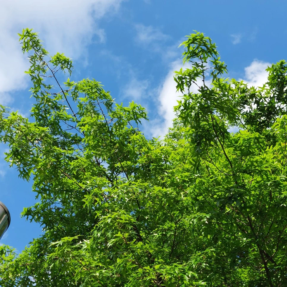 20230710_020234.jpg?type=w966