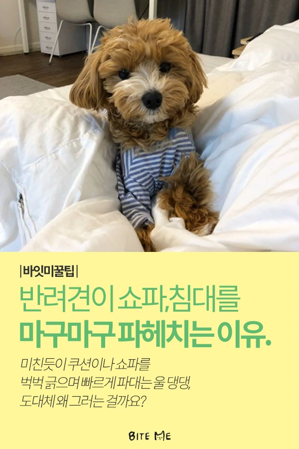 Artboard_1.png?type=w773