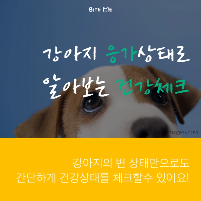 tyle-CzK-1_%281%29.png?type=w773