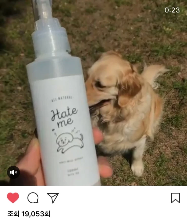 %ED%97%A4%EC%9E%87%EB%AF%B810.jpg?type=w2