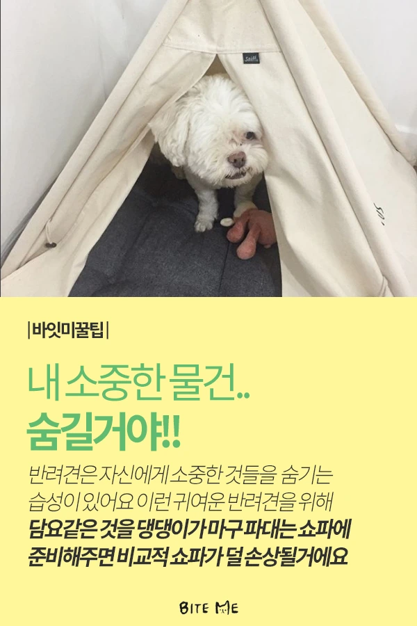 Artboard_1_copy_2.png?type=w773