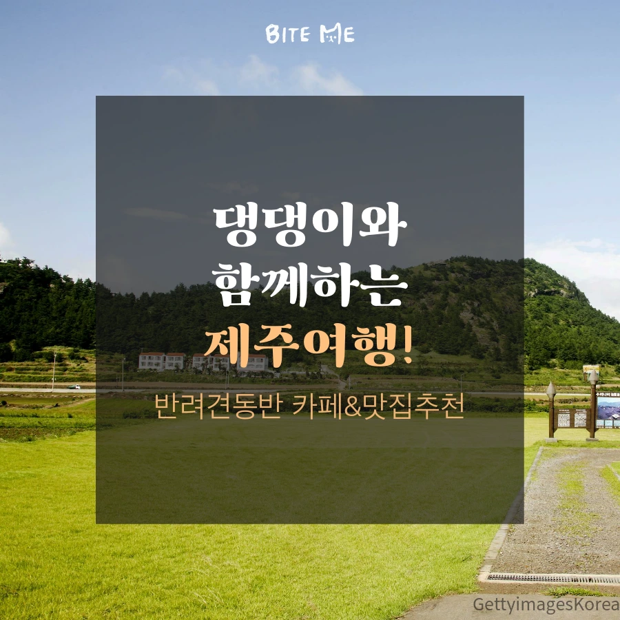 tyle-eYO-6.png?type=w1200