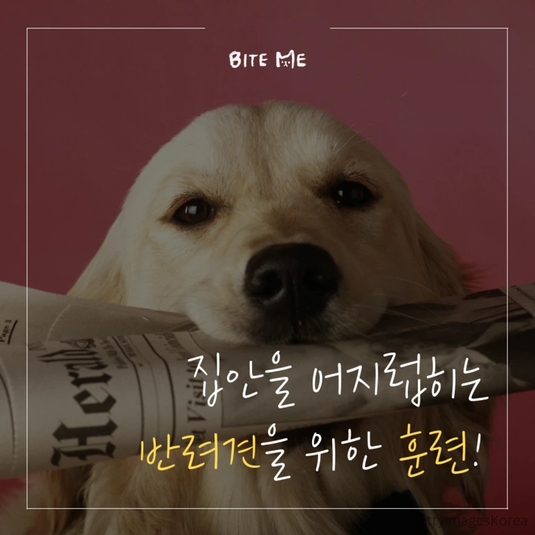 tyle-rUC-1_%282%29.png?type=w773