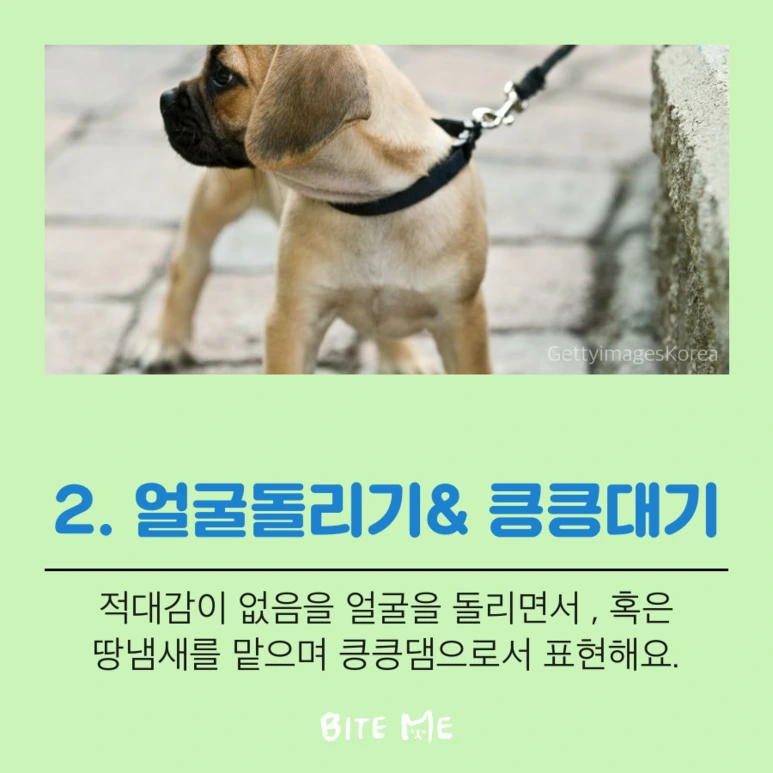 tyle-wlH-4.png?type=w773