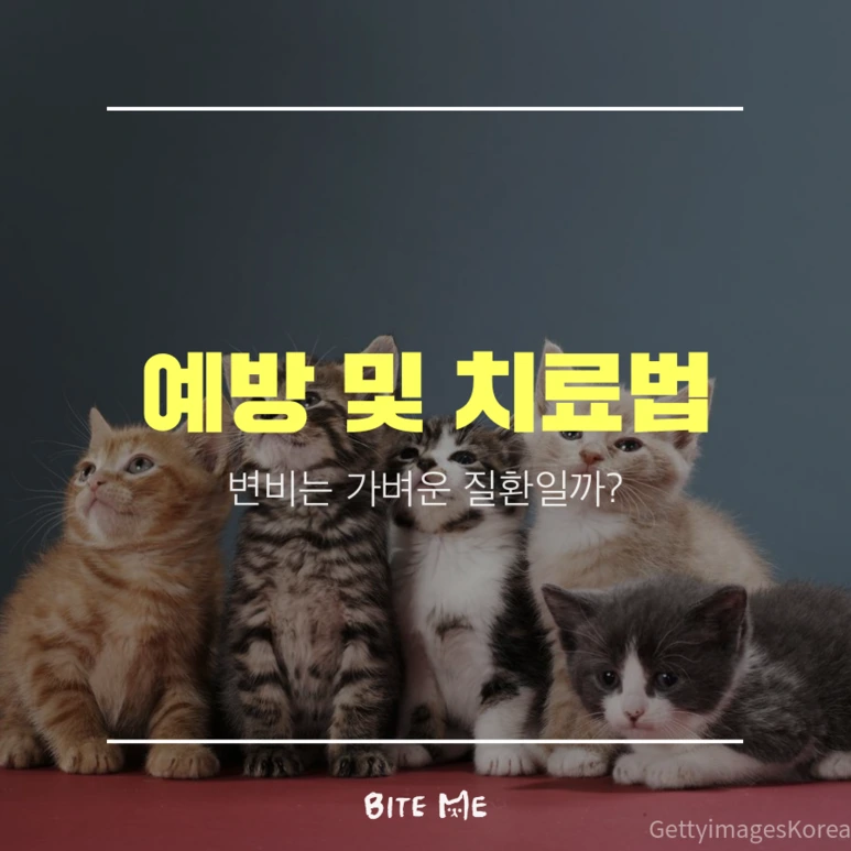 tyle-wTd-2_%281%29.png?type=w773