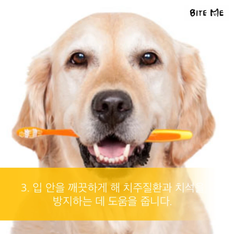 tyle-Rus-4.png?type=w773