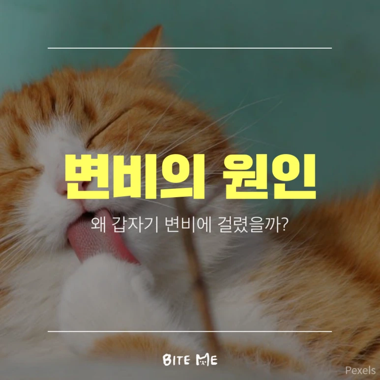 tyle-wTd-1.png?type=w773