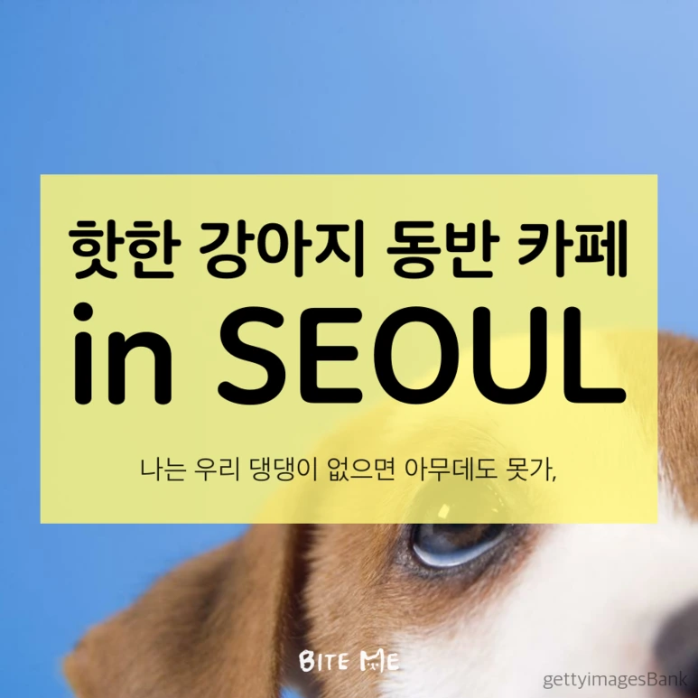 tyle-yMe-1.png?type=w773