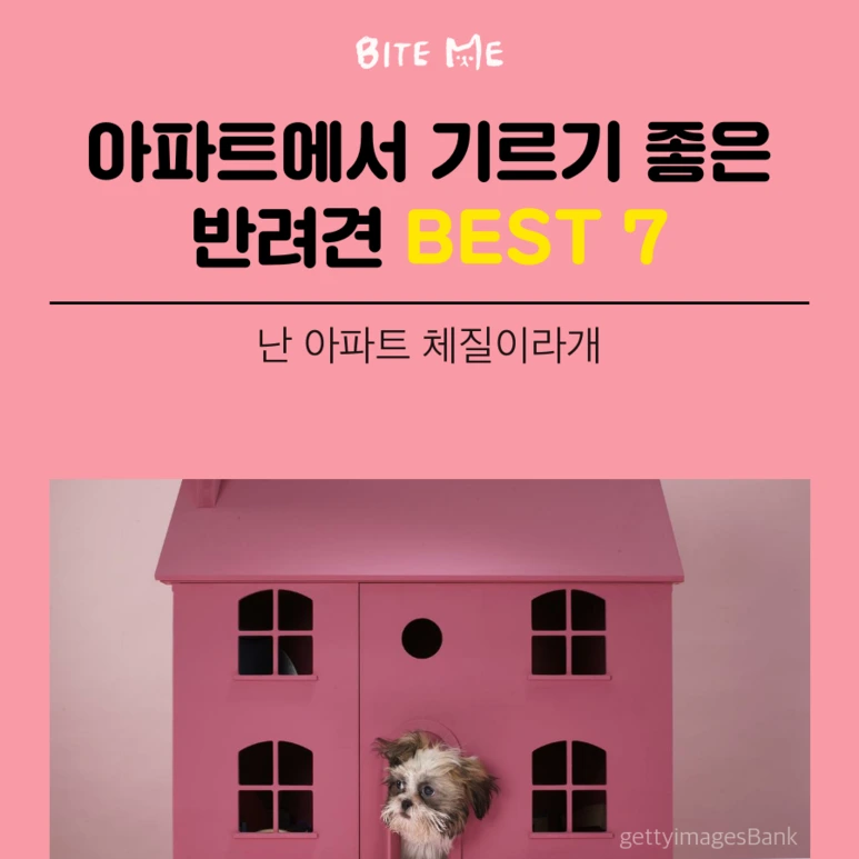 tyle-A7z-1_%281%29.png?type=w773