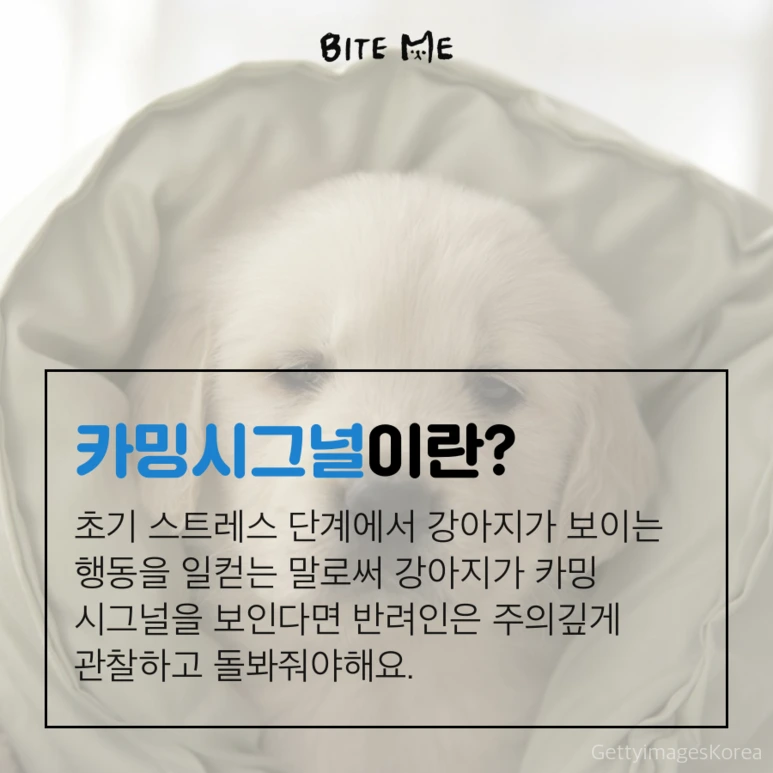 tyle-wlH-2.png?type=w773