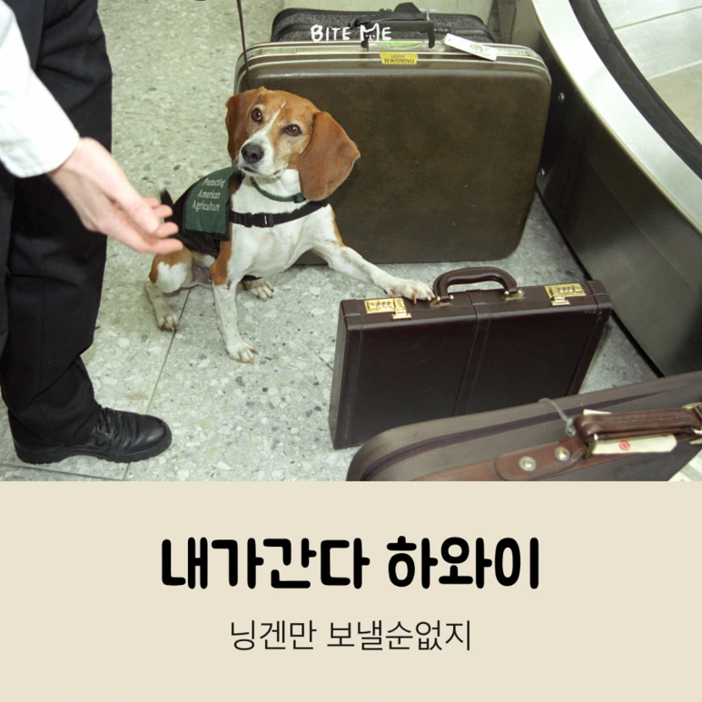 tyle-mkw-2_%283%29.png?type=w773