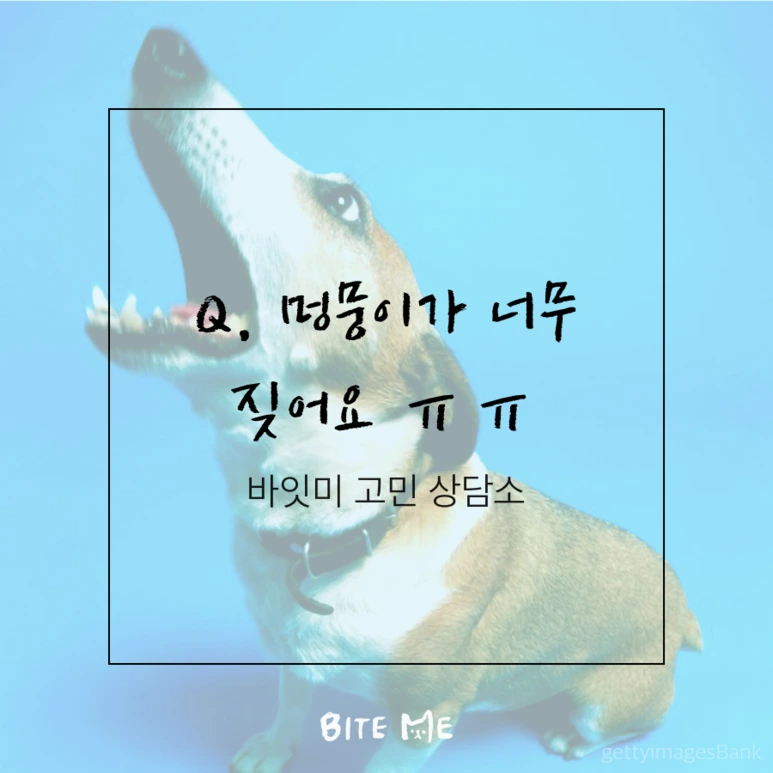 tyle-Ze9-1.png?type=w773